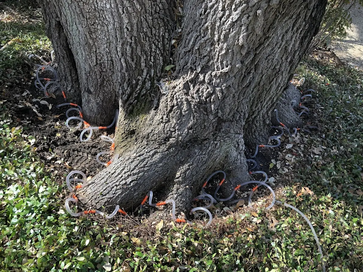 Detailed Shrub and Hedge Trimming job site in Buchtel